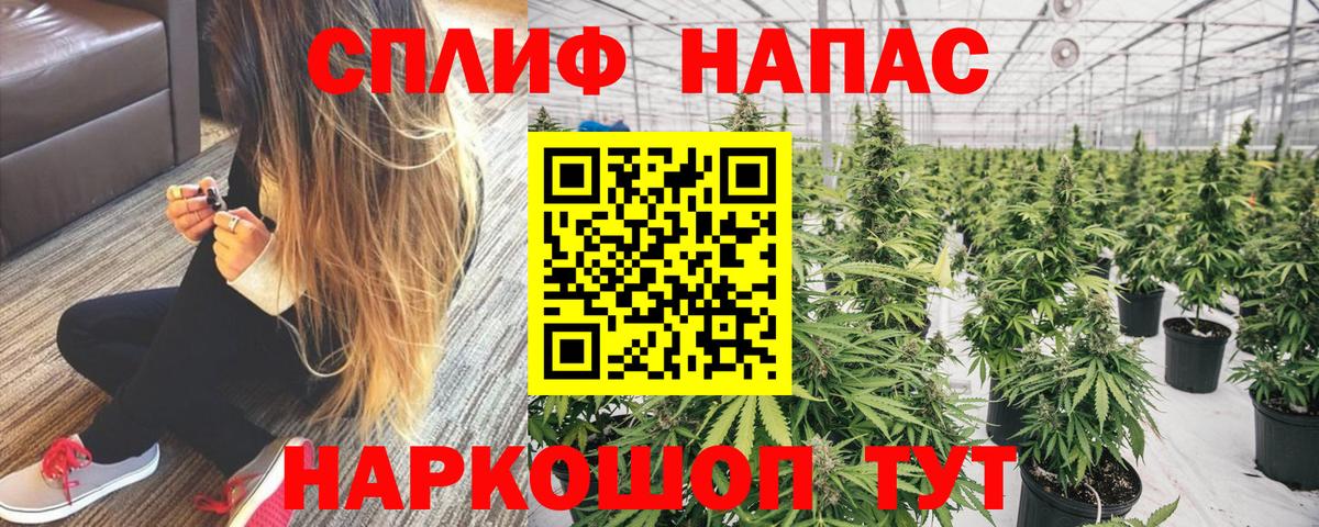 Бошки марихуана Bruce Banner  Вход с VPN  Марихуана ГИДРОПОН  Бошки марихуана конопля  Тосно 